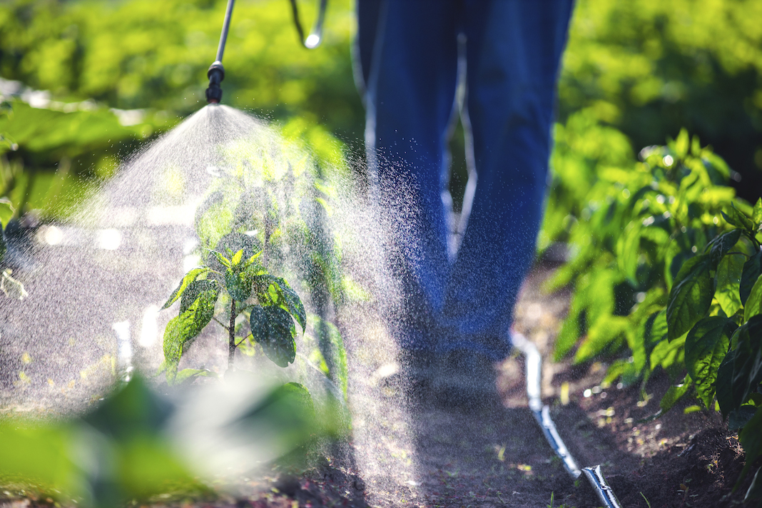 Dossier Legambiente Il 45 Del Cibo Analizzato Presenta Pesticidi La