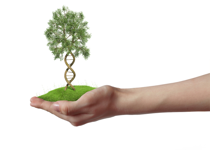 Expo2015: parliamo di Ogm?