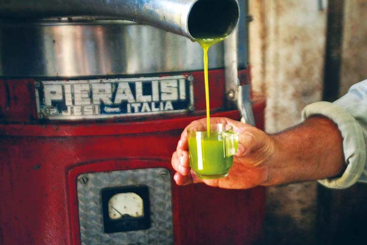 Lo scivolone dell’extravergine, partono i primi esposti