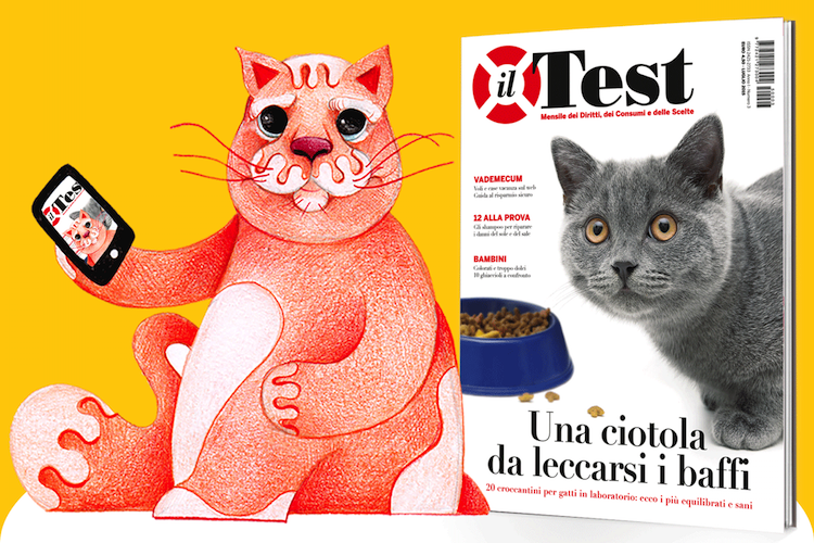 Fa un selfie al tuo gatto e vinci un anno di TEST