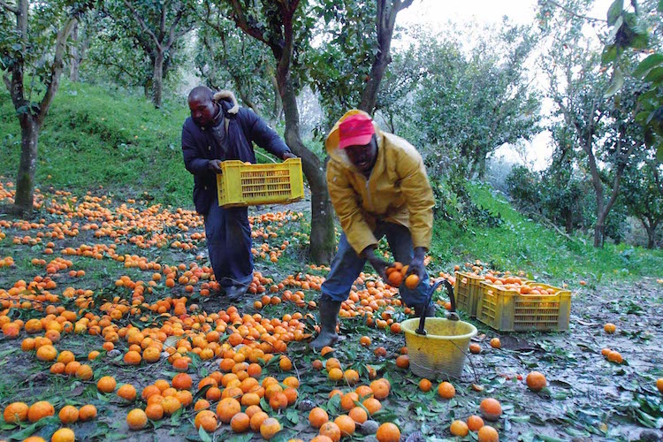 #FilieraSporca, la campagna per l’etichetta trasparente