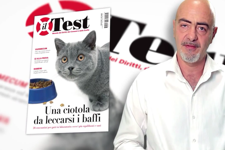 In edicola il nuovo numero del Test, guardiamolo assieme