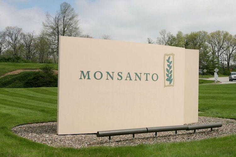 Monsanto-Bayer: Matrimonio Vicino | Il Salvagente