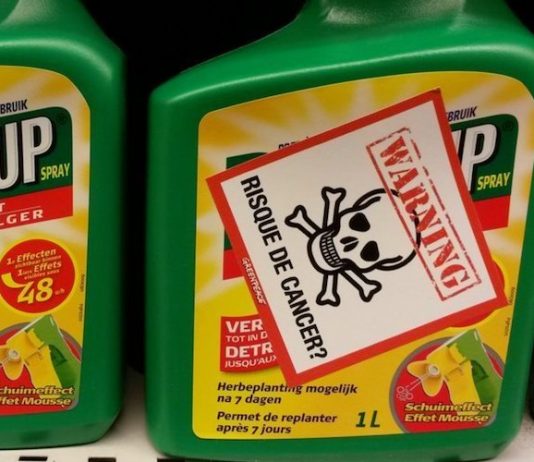 Bayer sotto assedio tra cause miliardarie e menzogne palesi sul glifosato GLIFOSATO BAYER