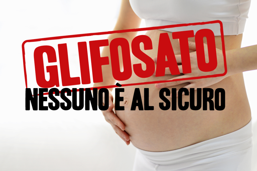 Glifosato, le nostre analisi confermano il rischio: “14 donne incinte su 14 positive all’erbicida”