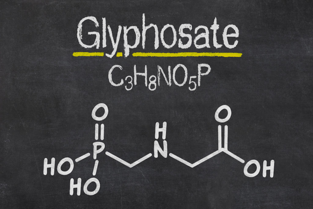 Monsanto papers, lo scandalo degli scienziati pagati per assolvere il glifosato