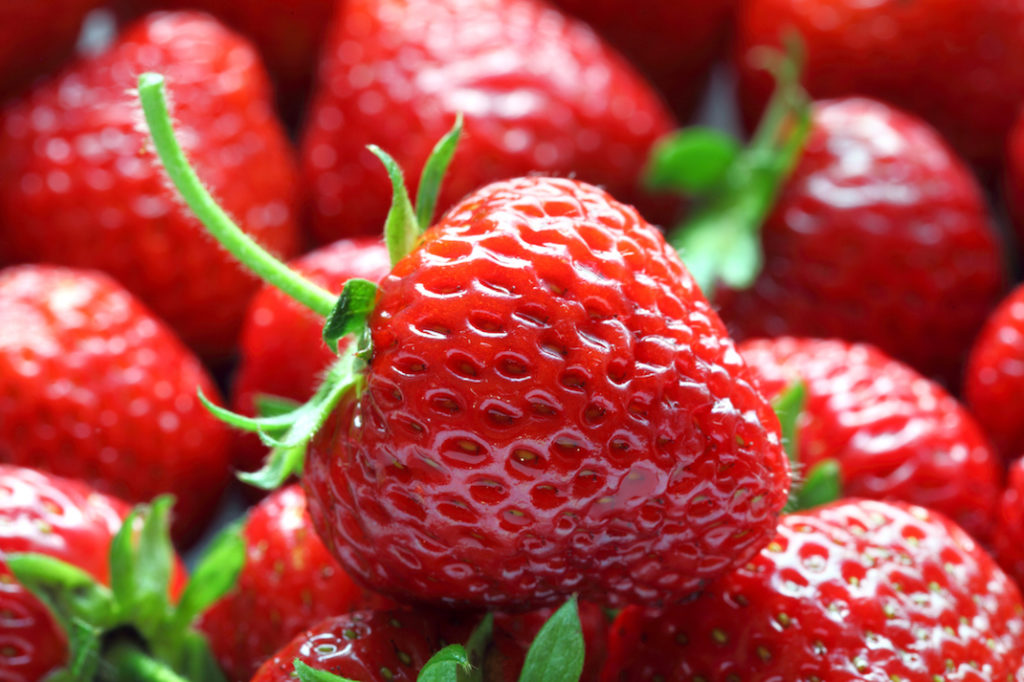 Perché le (prime) fragole sono un danno per l’ambiente