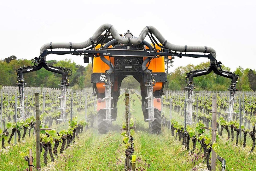 Prosecco e pesticidi, il Consorzio: “Siamo i più puliti, dateci tempo”