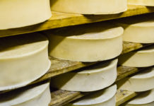 Escherichia coli nella fontina, ministero richiama il formaggio Terre d’Italia
