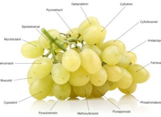 pesticidi uva