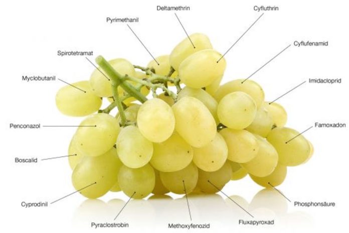 pesticidi uva
