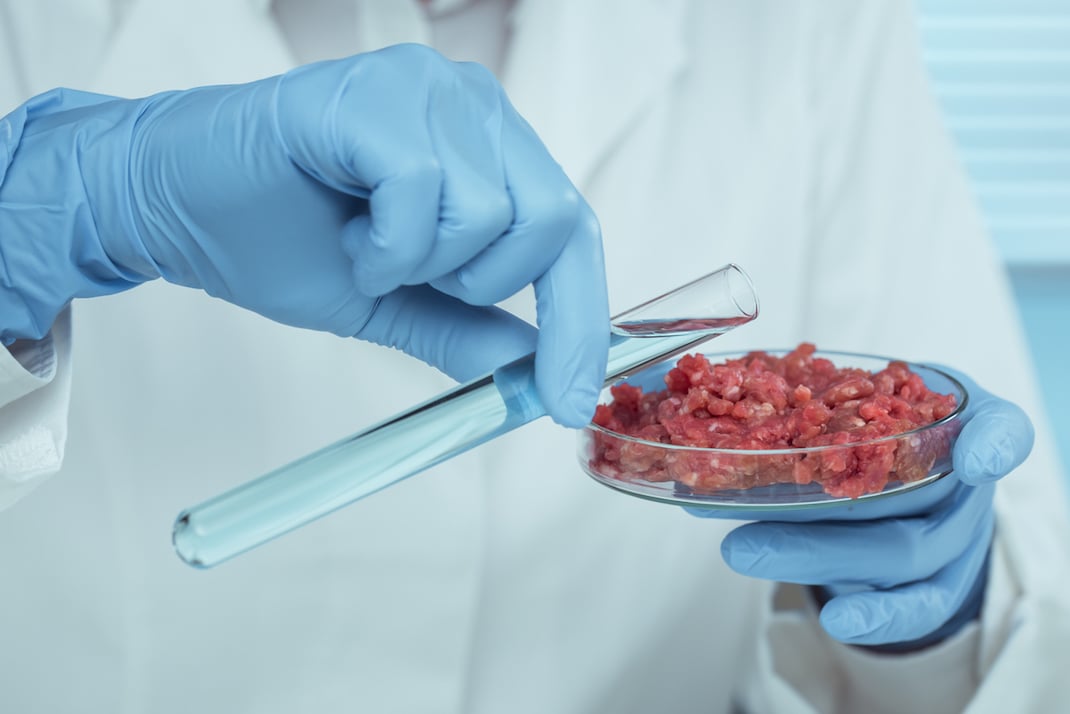La scienza approva il cibo sintetico, tanti i vantaggi - Scienza e  Tecnologia
