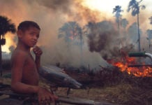 DEFORESTAZIONE IN AMAZZONIA