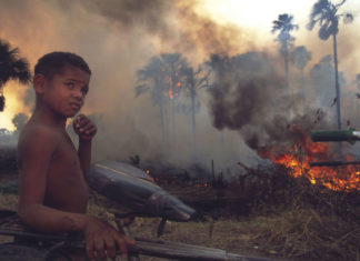DEFORESTAZIONE IN AMAZZONIA