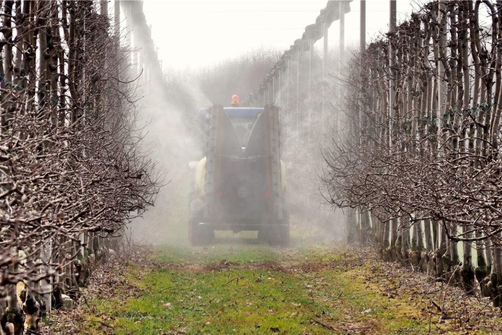 Ceci al glifosato, l’alternativa c’è ed è italiana