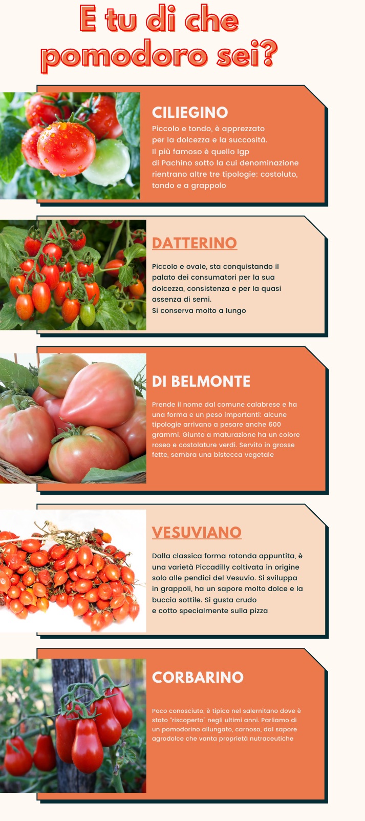 E tu di che pomodoro sei?