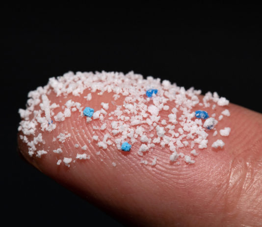 Lo studio italiano: le nanoplastiche entrano nei neuroni e agiscono sull’infertilità MICROPLASTICHE SANGUE CERVELLO E.COLI