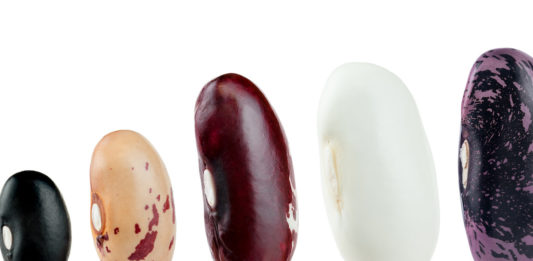 Legumi, nasce la rete europea degli “scienziati cittadini” sugli alleati della biodiversità FAGIOLI LEGUMI