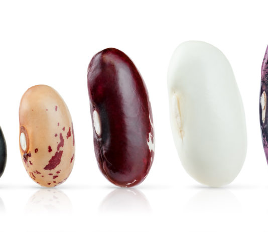 Legumi, nasce la rete europea degli “scienziati cittadini” sugli alleati della biodiversità FAGIOLI LEGUMI