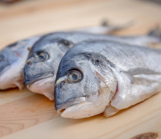 Fao: in aumento le frodi nel settore ittico. In Italia spigole e cozze le più colpite PESCE FRODI