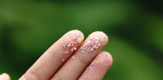 Microplastiche: curare gli effetti sulla salute costa 1.500 miliardi all’anno MICROPLASTICHE