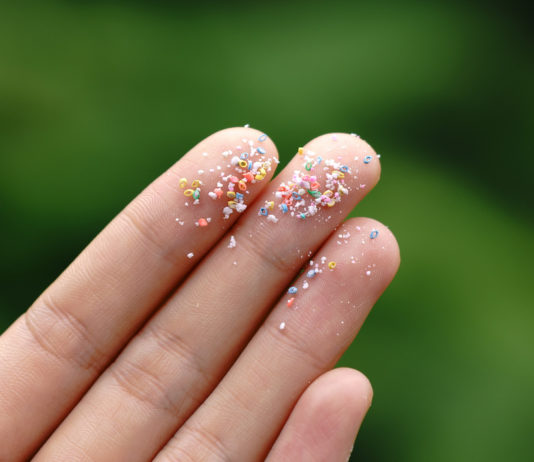 Microplastiche: curare gli effetti sulla salute costa 1.500 miliardi all’anno MICROPLASTICHE