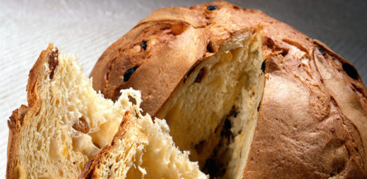 panettone