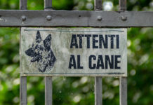 ATTENTI AL CANE