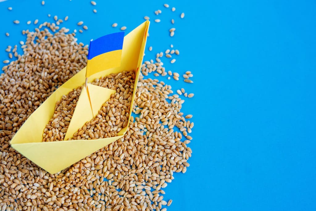 Grano, Putin fa saltare l’accordo ma a rimetterci non sono i paesi poveri