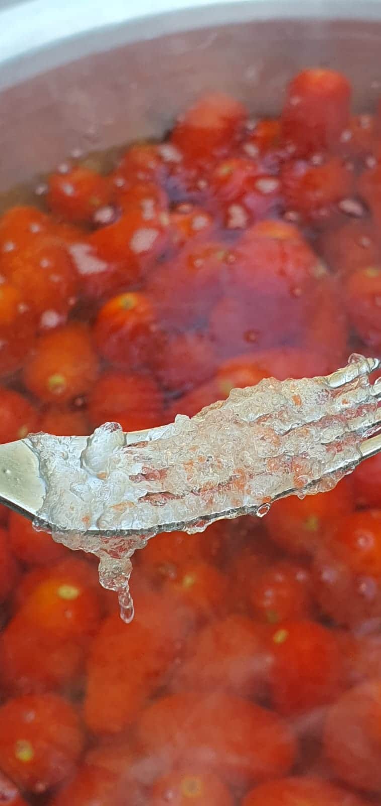 Quella strana gelatina nella salsa di pomodoro