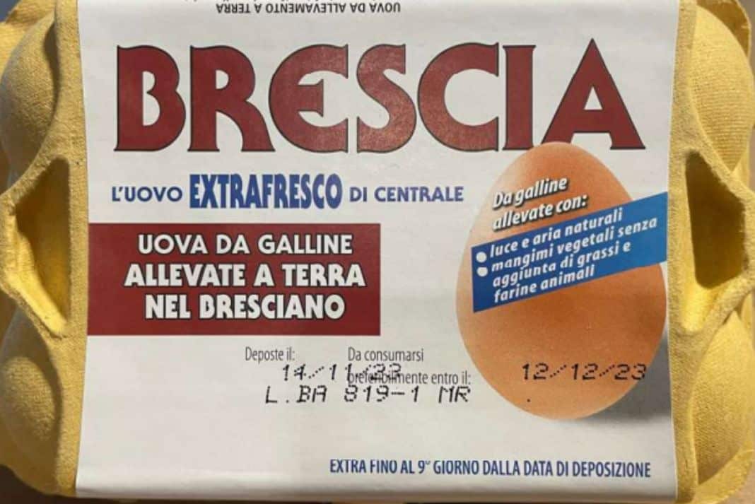 Uova Fresche Bio - Il Gigante