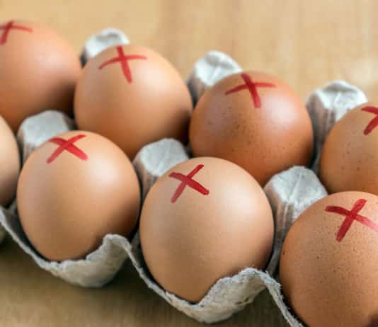 Uova, nuovo richiamo per rischio Salmonella SALMONELLA UOVA PFAS