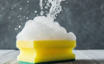 BfR: la spugna può diffondere Salmonella ed E. coli SPUGNETTE DA CUCINA