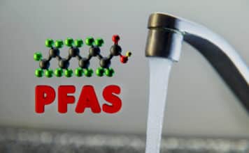 pfas acqua