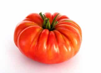 POMODORI