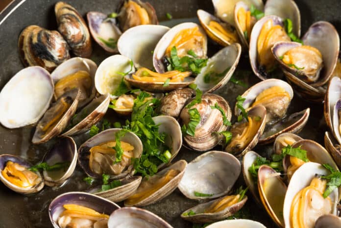 vongole pfas