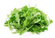 RUCOLA RESIDUO ZERO SALMONELLA