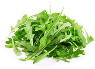 RUCOLA RESIDUO ZERO SALMONELLA