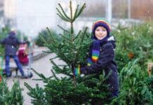 albero di natale