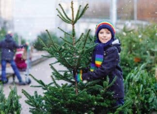 albero di natale