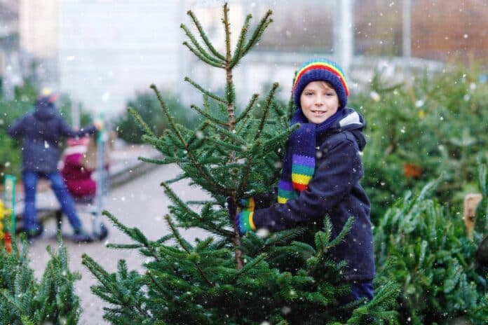 albero di natale