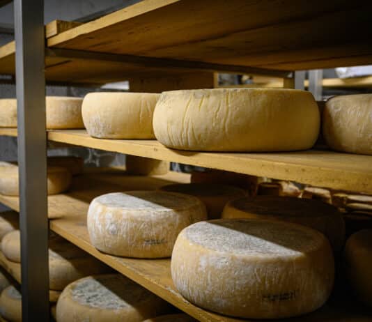 Formaggio di capra a latte crudo, diversi richiami per contaminazione da Stec FORMAGGIO LATTE CRUDO