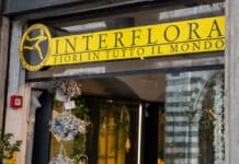 INTERFLORA ANTITRUST