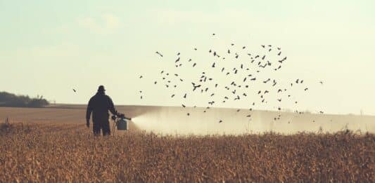 Pesticidi per sempre: con la riforma Ue uso illimitato per il Glifosato (e altri 48) pesticidi fungicidi