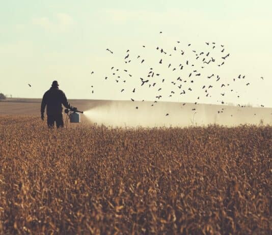 Pesticidi per sempre: con la riforma Ue uso illimitato per il Glifosato (e altri 48) pesticidi fungicidi