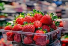 fragole