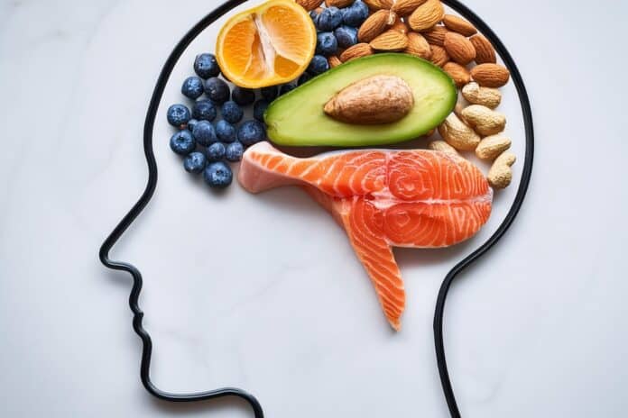 Foods that are good for brain function and improve memory inside the brain-shaped head contour, salmon, avocado, orange, nuts, blueberries cervello