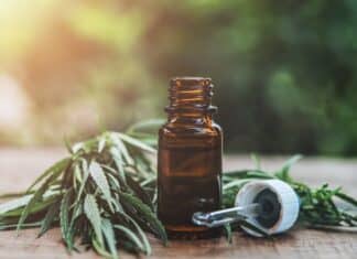 cannabis