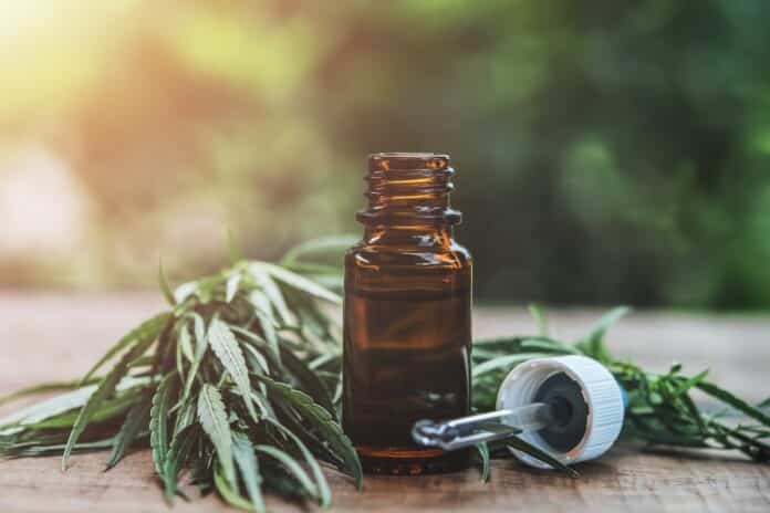 Cannabis herb and leaves with oil extracts in jars. medical concept cannabis