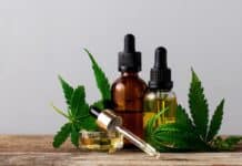 CBD CANNABIS